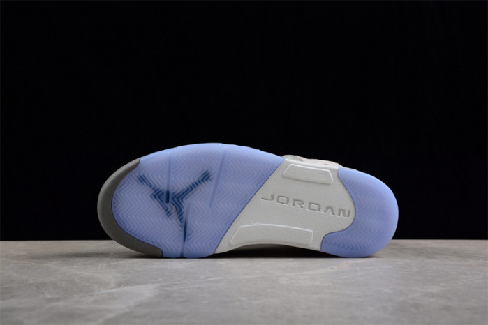 AIR JORDAN 5 RETRO SE 