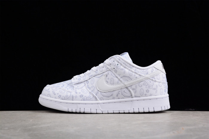 Nike Dunk Low DJ9955-100