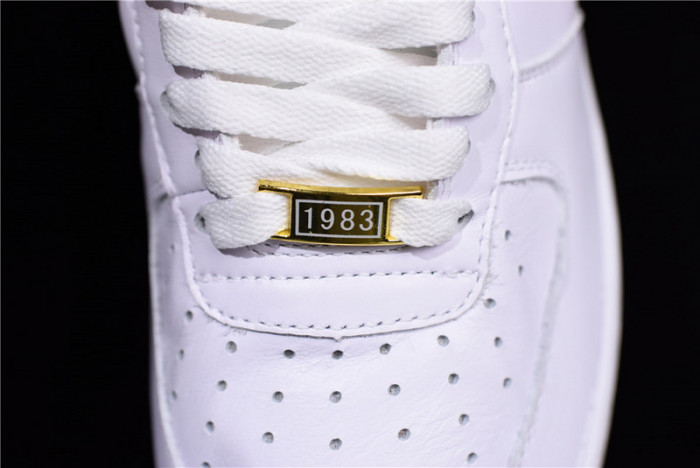 Nike Air Force 1 Low Fo Fi Fo AQ5107-100