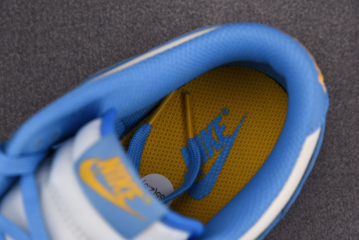 Nike Dunk Low Coast (W) DD1503-100