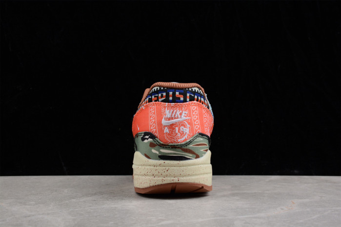 vConcepts x Nike Air Max 1 “Mellow” DN1803-300