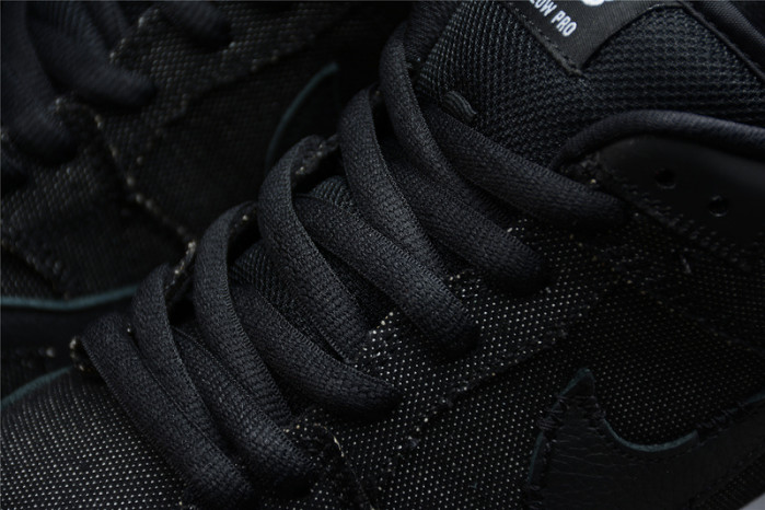 Wasted Youth × Nike Dunk SB Low “Black” DD8386-001