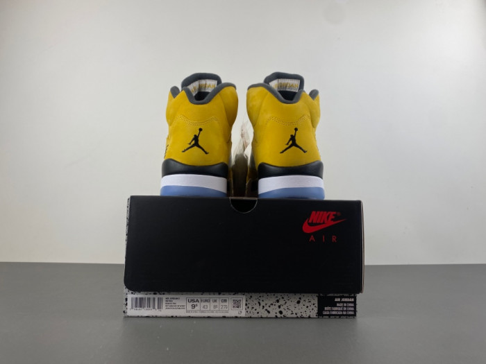 Air Jordan 5 Retro T23 