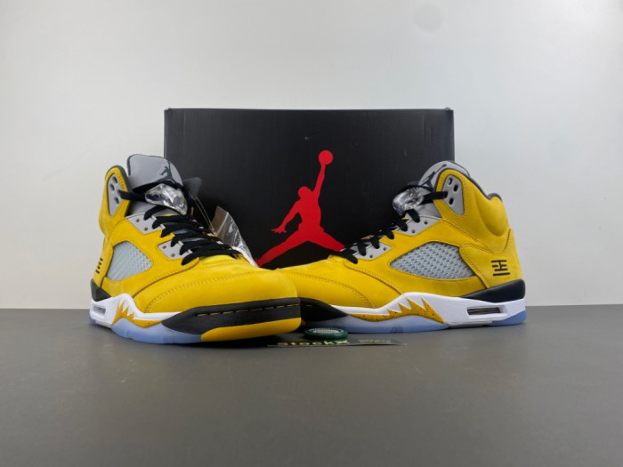 Air Jordan 5 Retro T23 